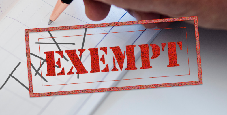 What Kind of Allowances that are Tax Exempt?