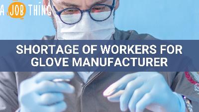 Cover image for Foreign Worker Recruitment Freeze Affects Top Glove