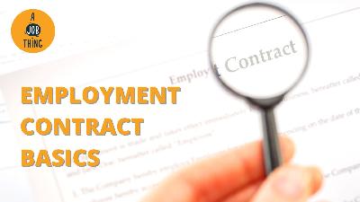 Cover image for HR Guide: The Basics of Employment Contract