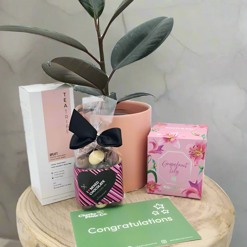 Flower Plant Giveaway